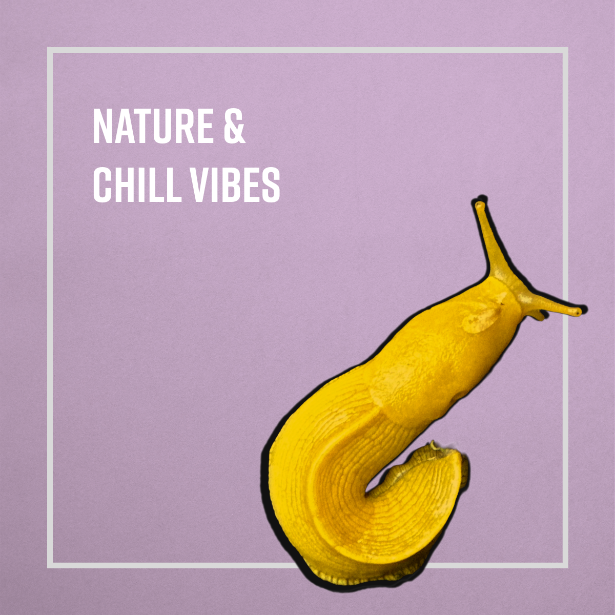 Nature & Chill Vibes